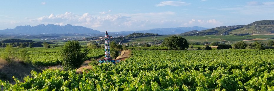 Babel RepubliCat FR #emojicat #FreeAssangeCatLove banner