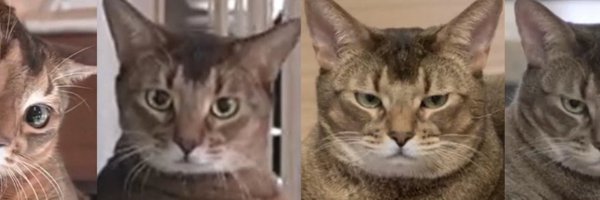 13febmt Profile Banner