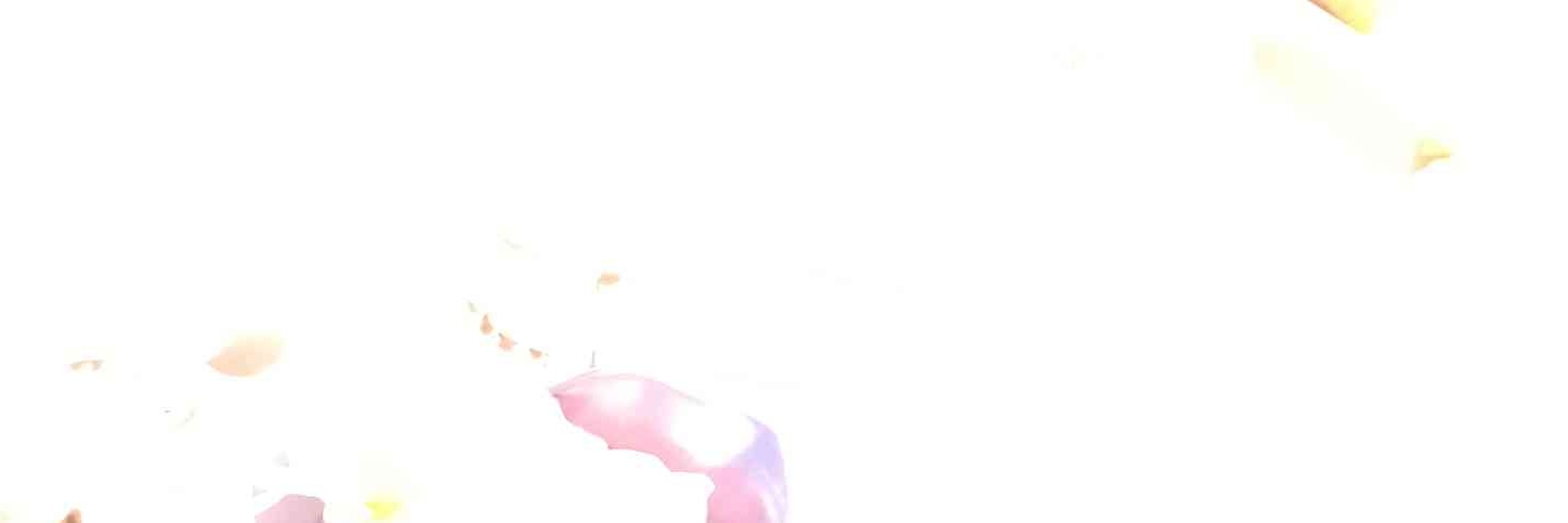 crocoken_'s profile banner image