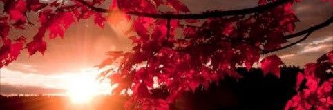 kimo199love00's profile banner image