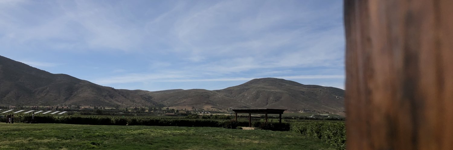 ricardo renteria banner