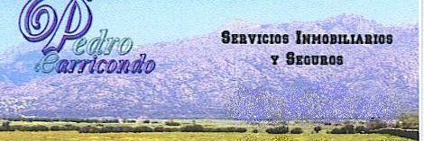 InmoPCarricondo's profile banner image