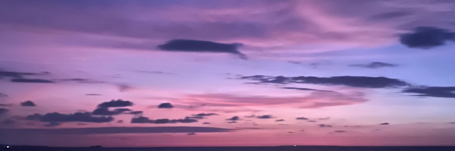 Angélica Bustamante banner