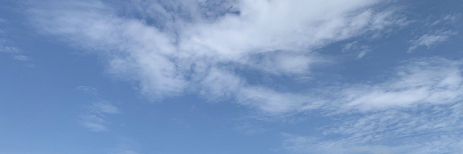 cheezaline's profile banner image