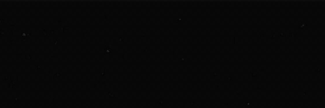 rose_need's profile banner image