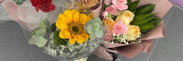 softkinn Profile Banner