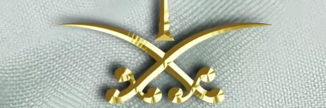 NSFS34TAA's profile banner image