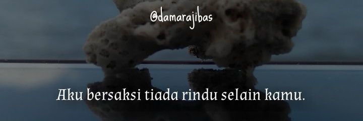 damarsupilami's profile banner image