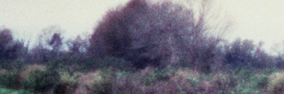 Ajhani banner