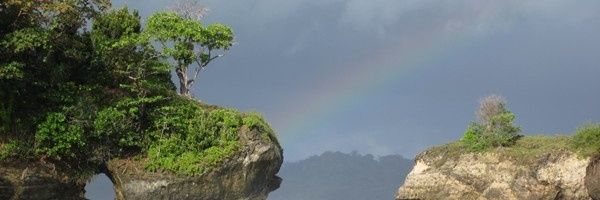 lenielubis's profile banner image