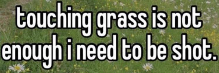 its_ameliaR's profile banner image