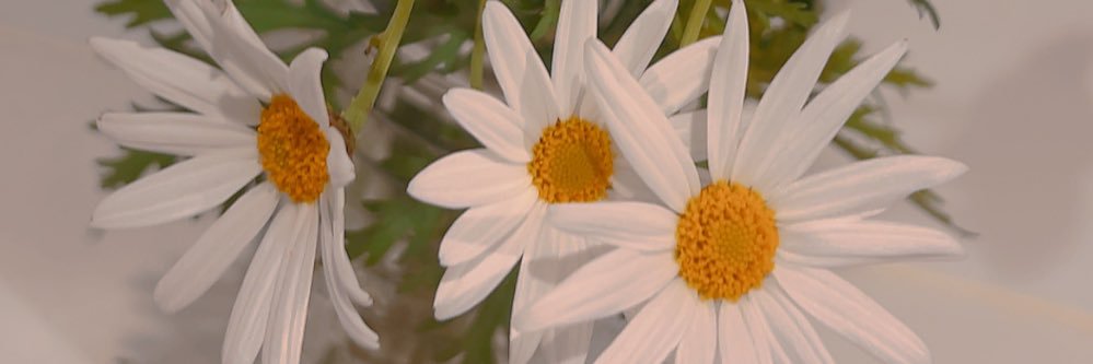 na_8_11's profile banner image