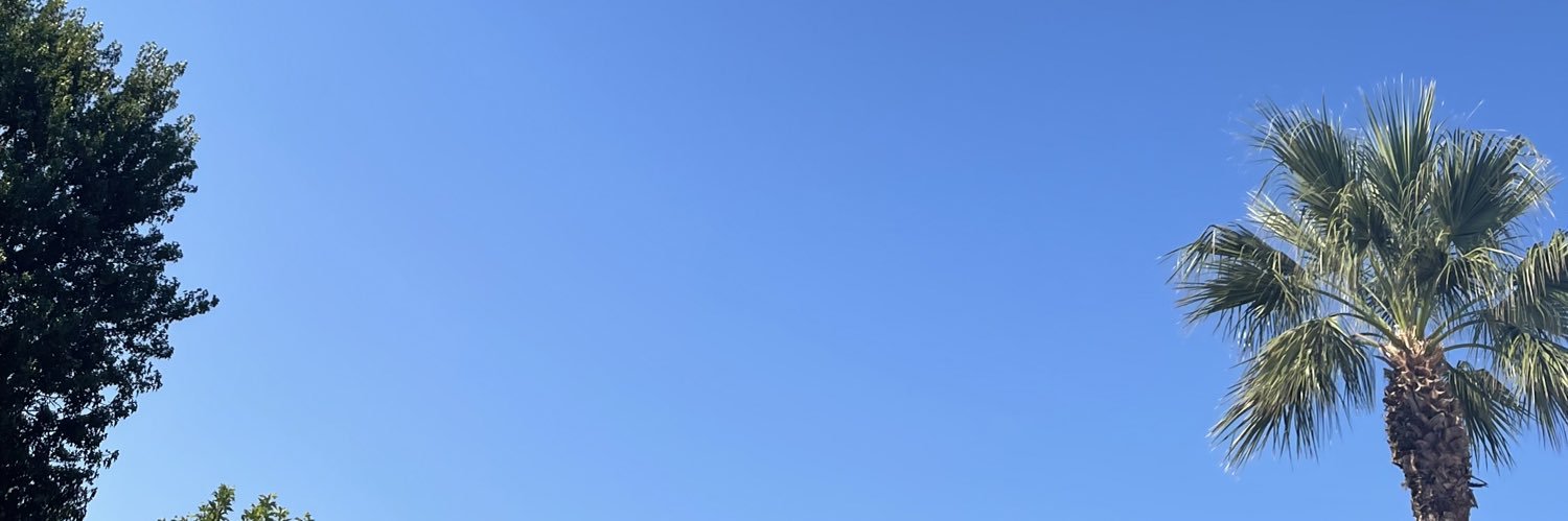 alicemaynard__'s profile banner image