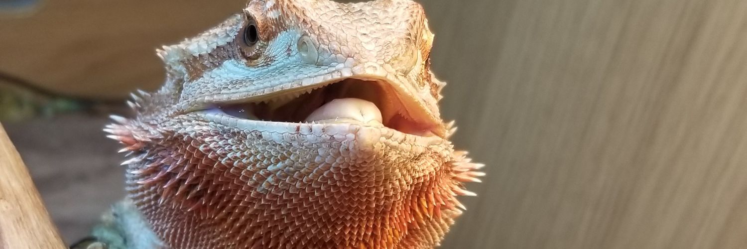 GingrBeardMan87's profile banner image