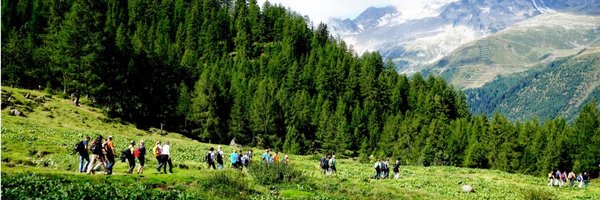 The_Ban_Lab Profile Banner