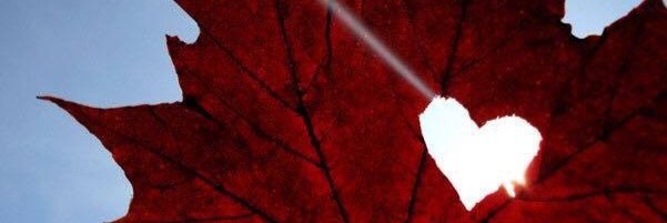 SocialWorkShenanigan banner