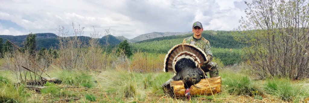 theAdamHOYT's profile banner image