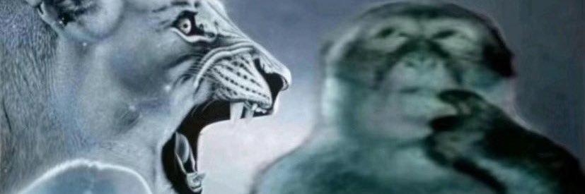 Justarandomnes's profile banner image