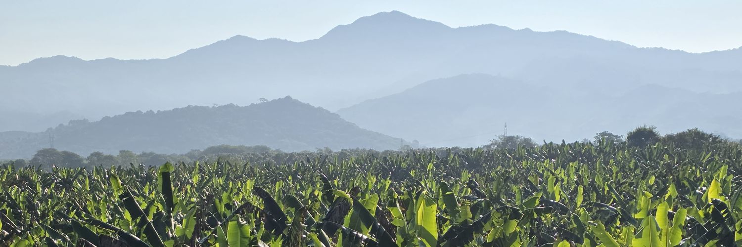 AnaVargasmx's profile banner image