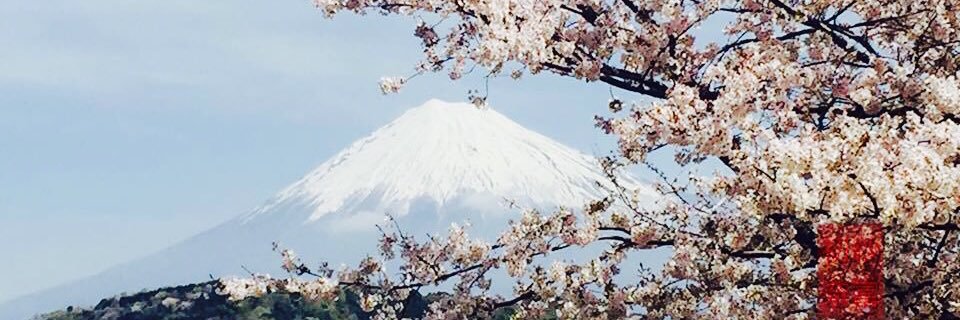winasw1's profile banner image