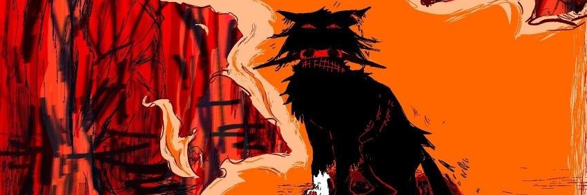 llz banner