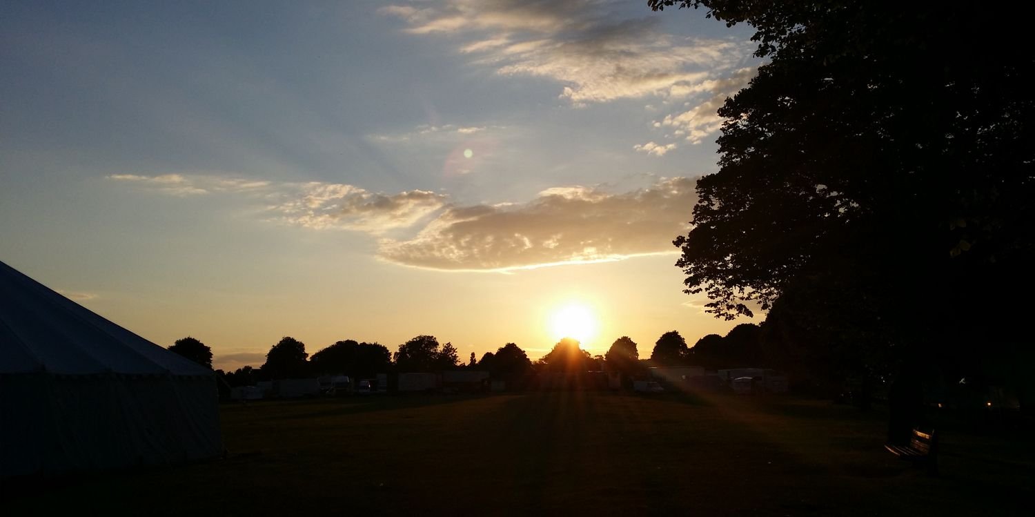 Alejandra Penado banner