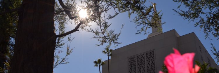 danielahawkins_'s profile banner image