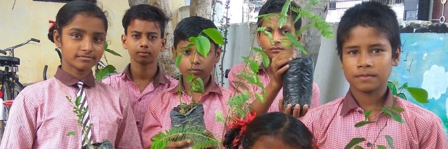 Babitaknp's profile banner image