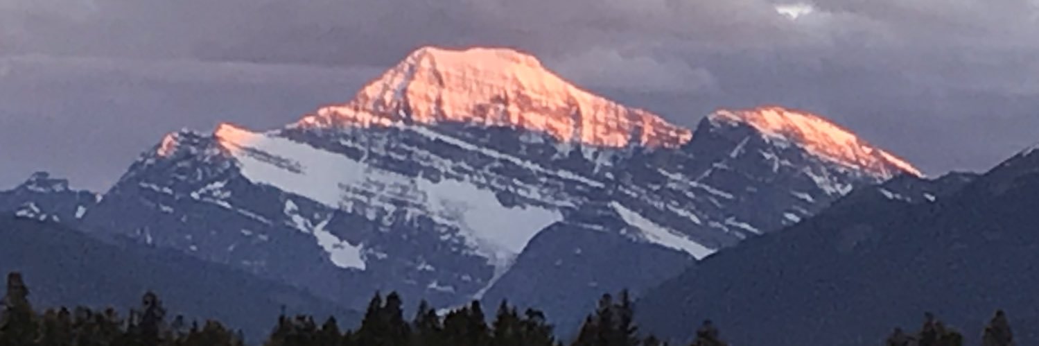 Brad Ferguson 🍁 banner