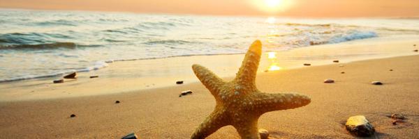 TheHypnoDoctor Profile Banner