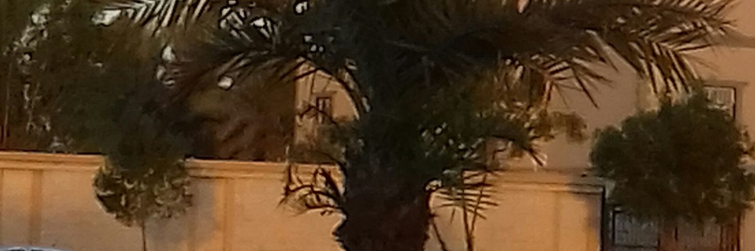 اللهم احسن خاتمتنا banner