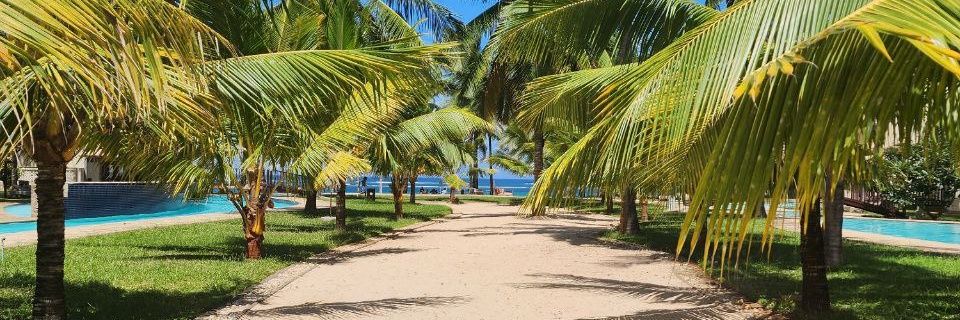 Katana_MD🐾 banner