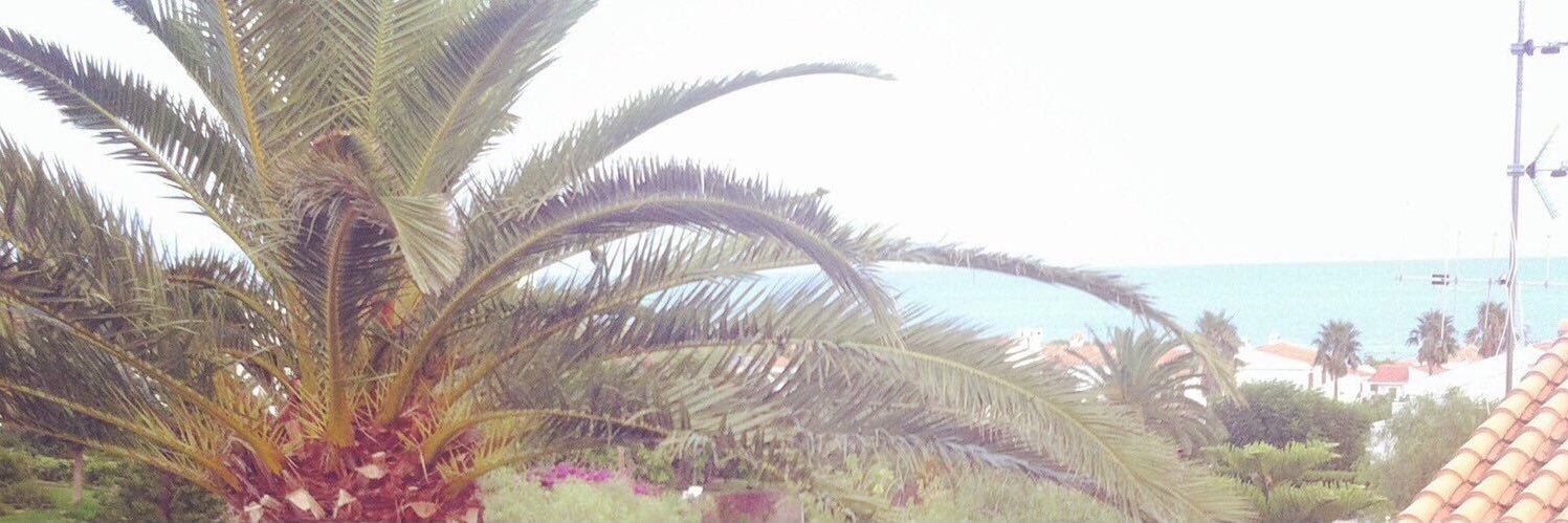 ainhoa_jauregi's profile banner image
