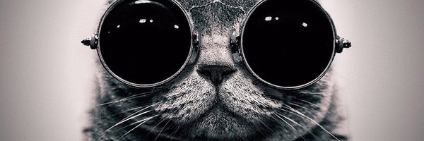 Saycoppersmith Profile Banner