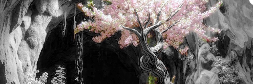 Kindbear97's profile banner image