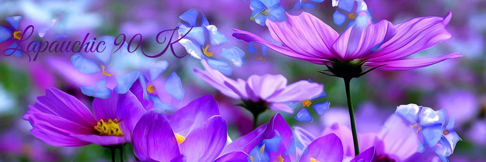 Lapauchic's profile banner image