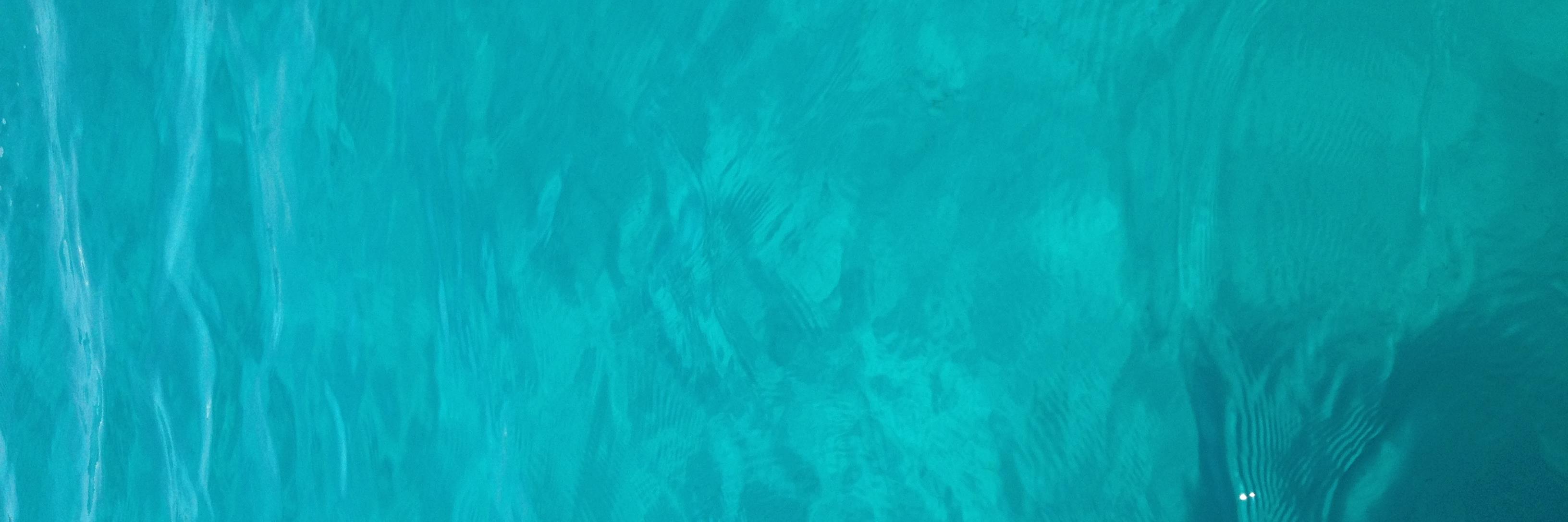 martagasset's profile banner image