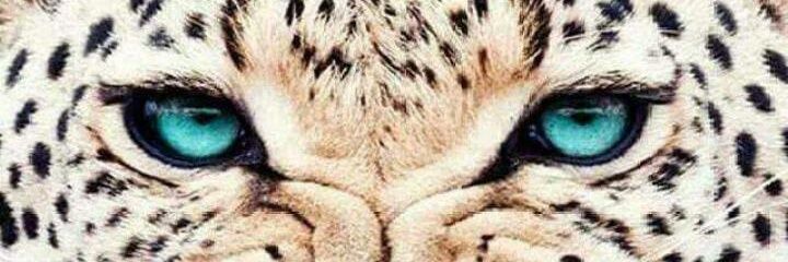 rebecaj50's profile banner image