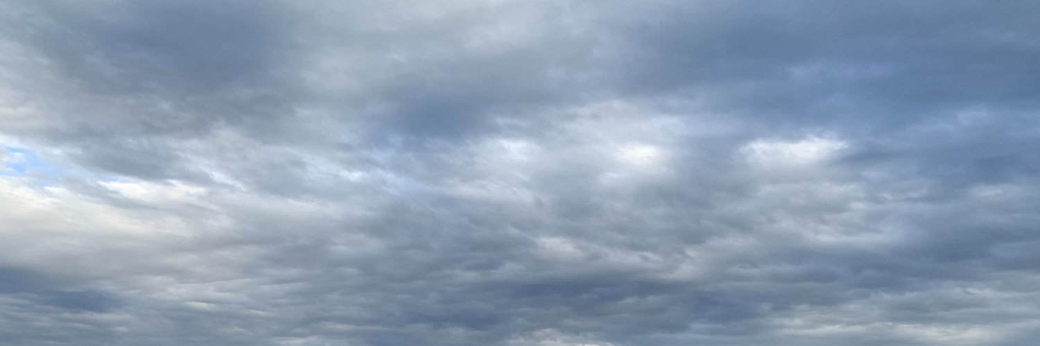 euimadu's profile banner image