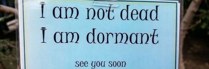 🍉PastelandCakes🍉 banner