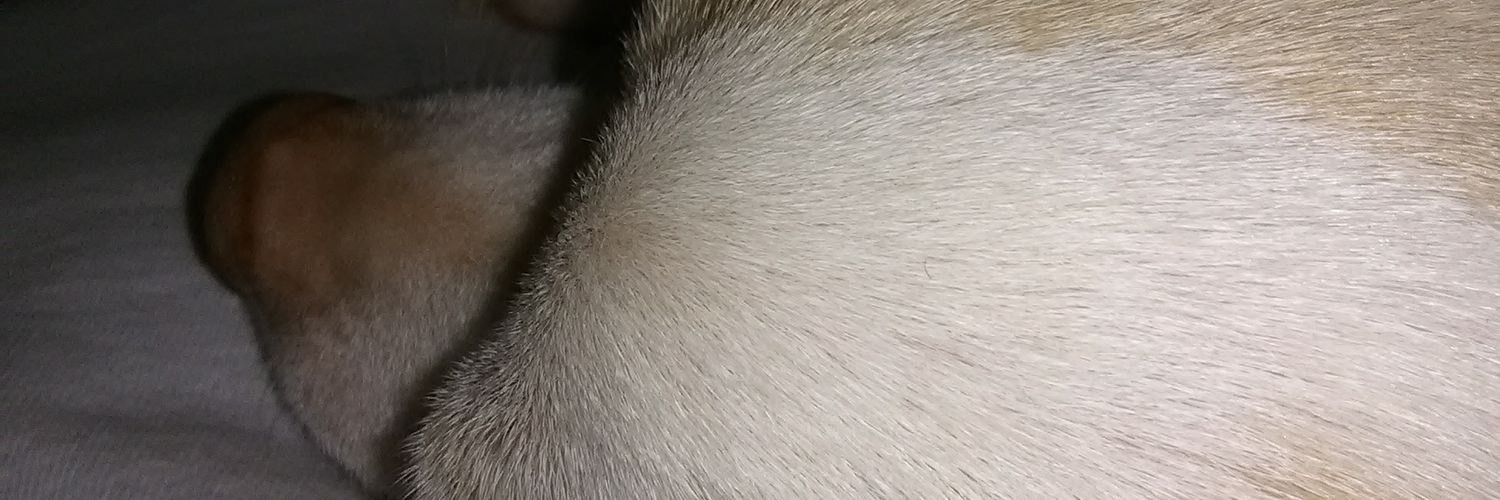 DebraHilty's profile banner image