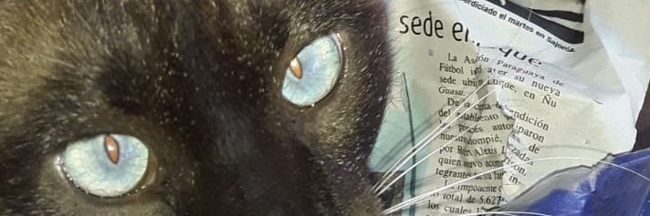 Palomug's profile banner image