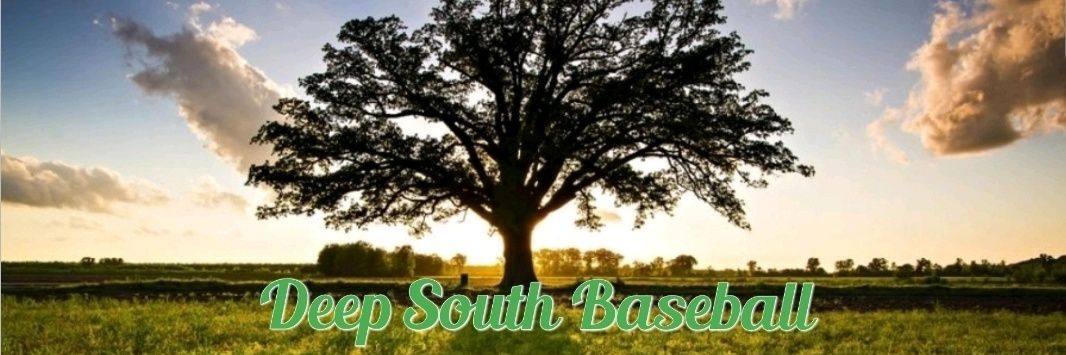 Deep South Baseball banner