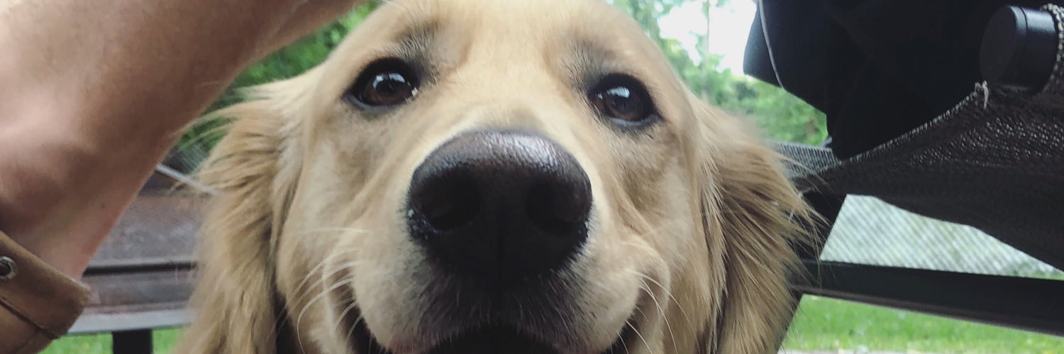 jjamiee2's profile banner image