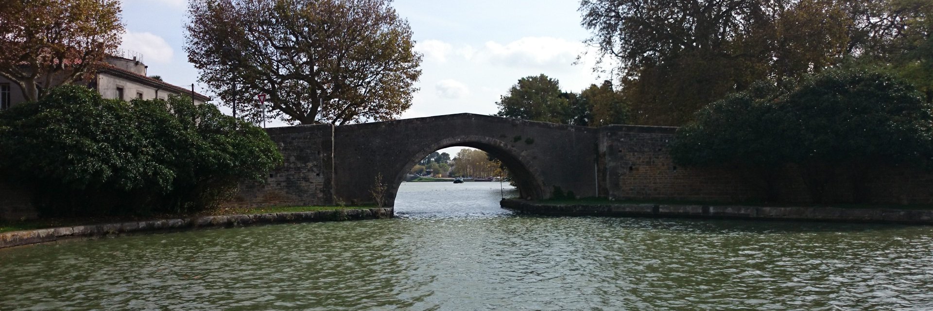 Denis F Romanzini banner