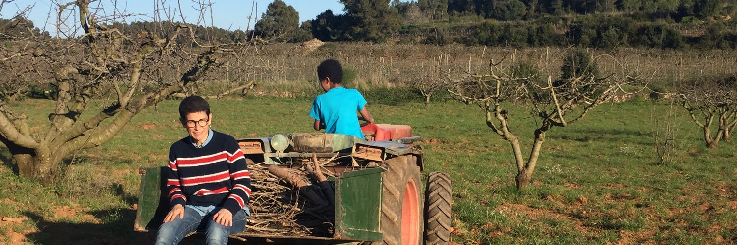 Mercè Pradas banner