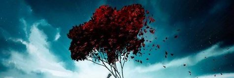 OlmalMy's profile banner image