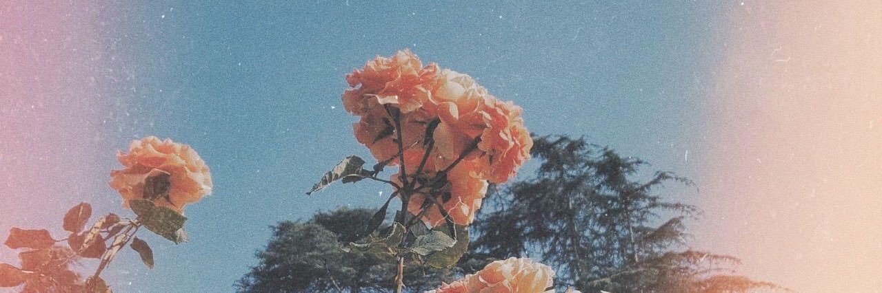 beatriz_egf's profile banner image