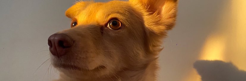 bbyavb's profile banner image