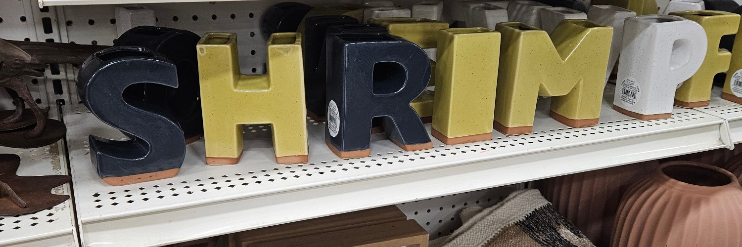 Offshore Oddities𓅣 banner